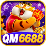 Profile photo of qm6688