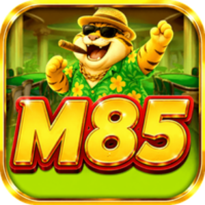 Profile photo of m85zqfmxdo m85zqfmxdo