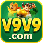 Profile photo of v9v9bcvnca