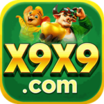 Profile photo of x9x9apxjhr