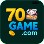 Profile photo of pu70game