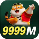 Profile photo of vm9999m