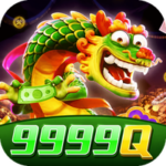 Profile photo of ng9999q