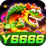 Profile photo of y6666sduez