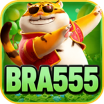 Profile photo of bra555